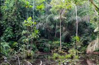 Top 10 hidden tourist sites in Ghana you probably didn't know existed