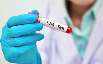 Man fakes DNA test to avoid taking care of his kids