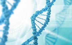 Man fakes DNA test to avoid taking care of his kids