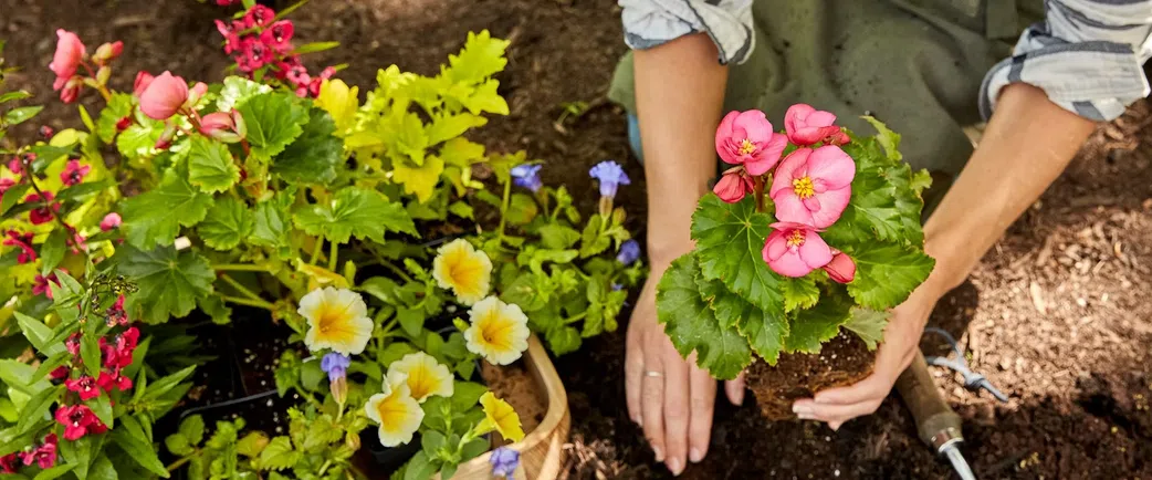 5 exciting hobbies you can adopt if you don't have any