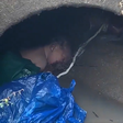Newborn abandoned in gutter