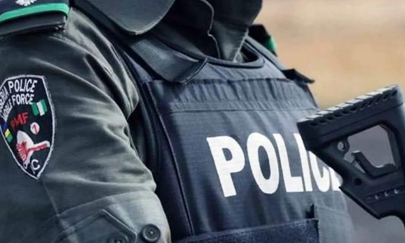 Nigerian-police (VanguardNG)