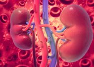 Kidney health