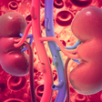 Kidney health
