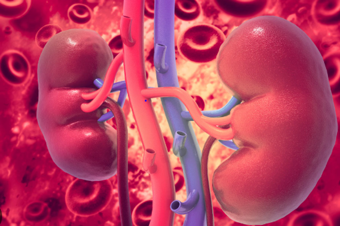 Kidney health