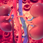 Kidney health