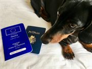 Did you know you can get a passport for your pet?[Travelnuity]