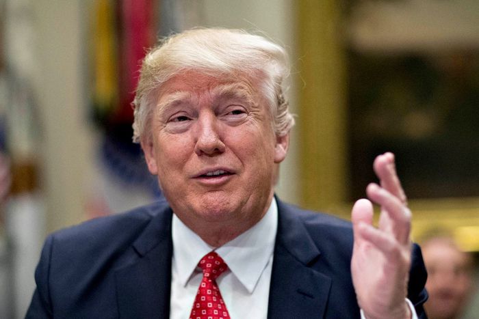 Experts offered a variety of reasons for Donald Trump's victory in the US presidential election.Andrew Harrer/Getty Images