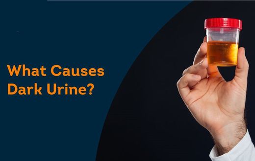 Why your urine looks darker in the morning [PristynCare]