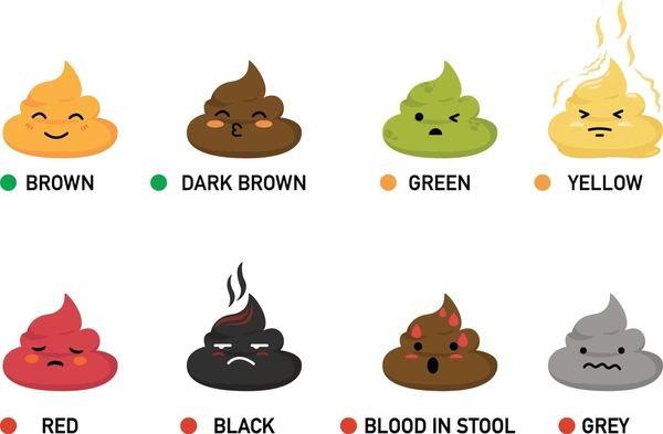 What the colour of your poop says about your health [shuttershock]