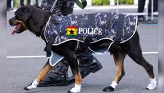 Lance Corporal Chloe