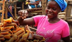 Wele Vendor