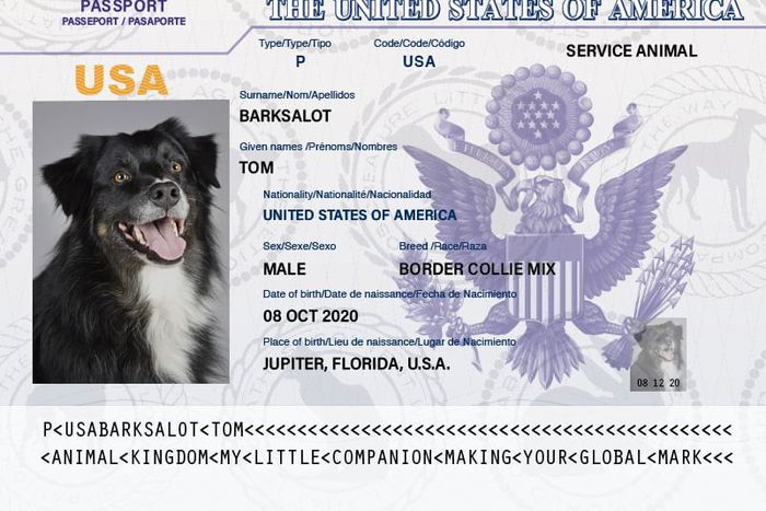 A pet passport [ThePetPass]