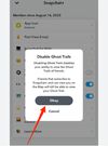 Ghost trails