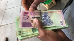 Some countries don’t use their own currency [ZimFact]