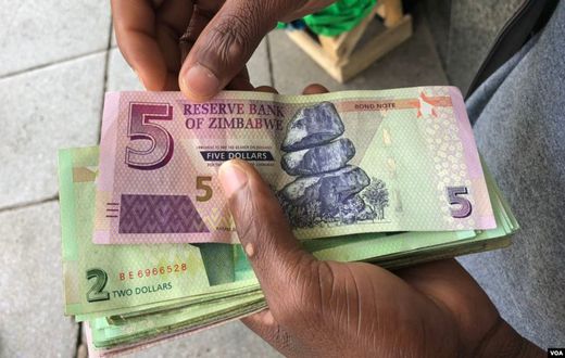 Some countries don’t use their own currency [ZimFact]