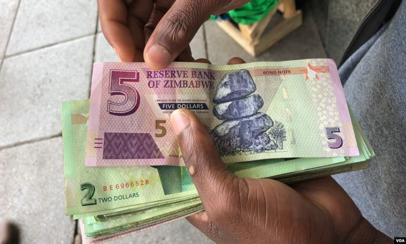 Some countries don’t use their own currency [ZimFact]