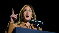 Vice President Kamala Harris has been a frequent presence in Michigan, a state critical to her electoral path.Brandon Bell/Getty Images