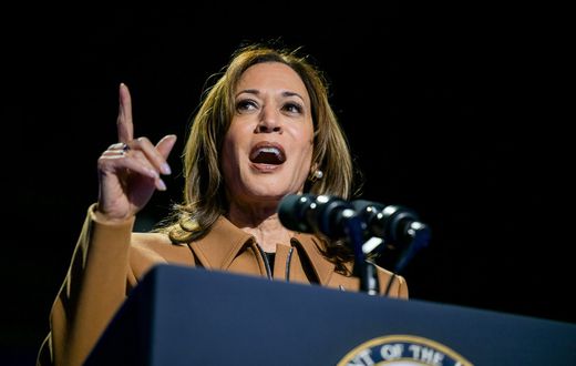 Vice President Kamala Harris has been a frequent presence in Michigan, a state critical to her electoral path.Brandon Bell/Getty Images