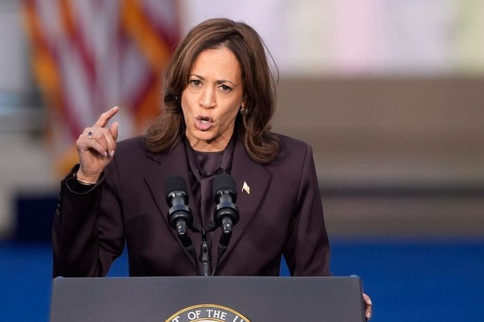 Vice President Kamala Harris delivers a concession speech for the 2024 presidential election on the campus of Howard University in Washington, Wednesday, Nov. 6, 2024.AP Photo/J. Scott Applewhite