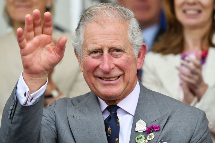King Charles III.WPA Pool/Getty Images