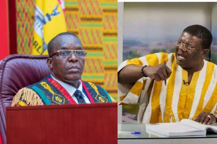 NDC MP sues Speaker over vacant parliamentary seats