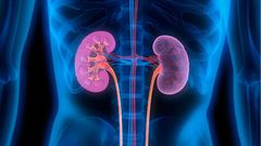 10 tips on how to keep your kidney healthy