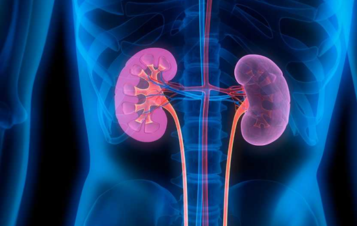 10 tips on how to keep your kidney healthy