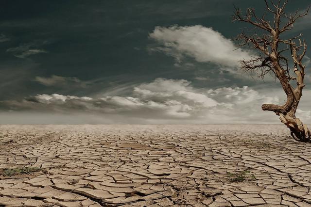 Places on Earth where it never rains [TheAlbertaSeed]