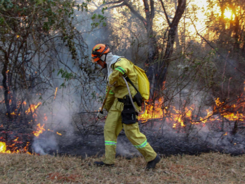 Fire fighter