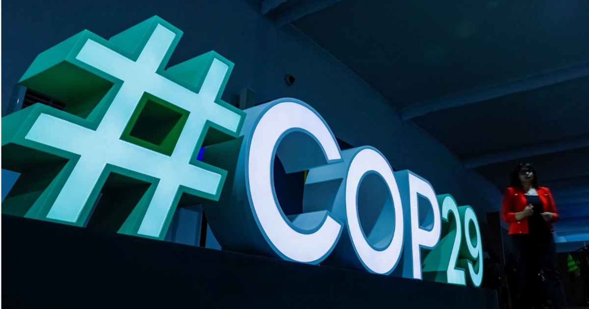 COP29: Everything you need to know about the UN climate meeting | Pulse ...