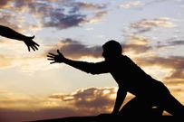 What to Do During a Stampede: Safety Tips for Detty December