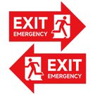 What to Do During a Stampede: Safety Tips for Detty December