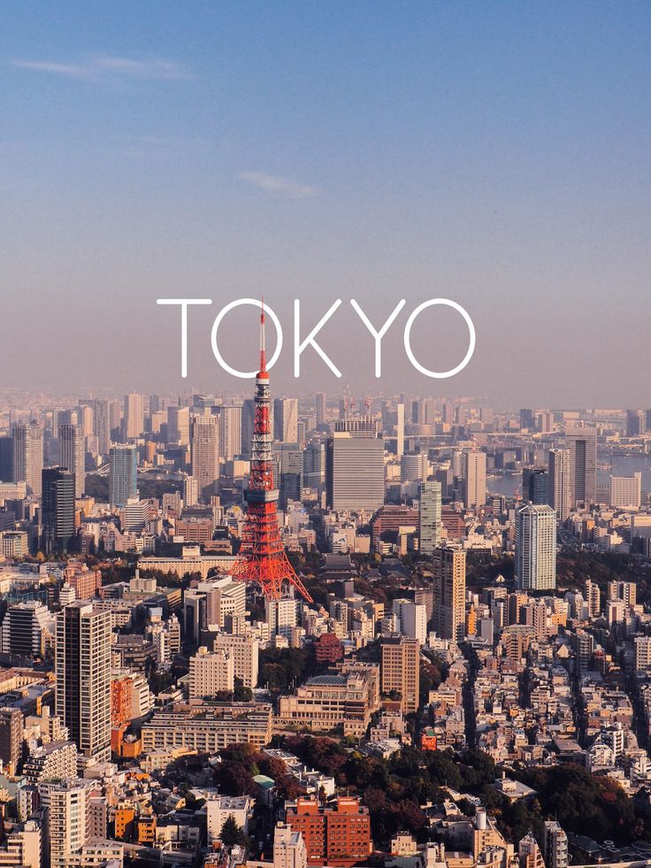 Here are top 6 destinations people explored in 2024