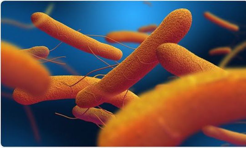 Typhoid fever