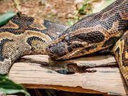 7 Volta Region adventures so good, your friends will be jealous