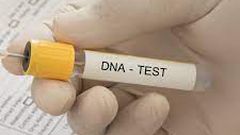 DNA Test