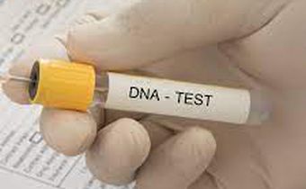 DNA Test