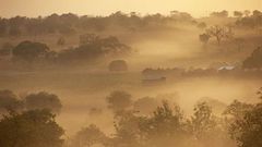 Harmattan