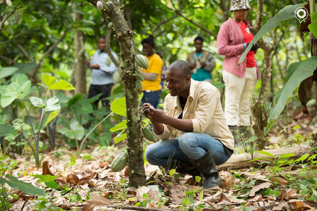 Dr Randy Abbey named Acting Chief Executive Officer of Ghana Cocoa Board