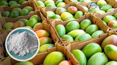 Calcium carbide-ripened fruits: How your favourite mangos, bananas and papayas can kill you