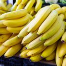 Calcium carbide-ripened fruits: How your favourite mangos, bananas and papayas can kill you