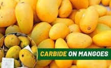 Calcium carbide-ripened fruits: How your favourite mangos, bananas and papayas can kill you