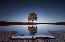 12 ways to develop yourself in 2025