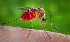 Rainy Season Ready: 5 ways to maintain your health during the rainy season in Ghana