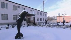 15 of the most dangerous and brutal prisons in the world where survival isn’t guaranteed