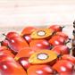 Palm Kernel Oil: The health benefits of this organic product are priceless  [Global]