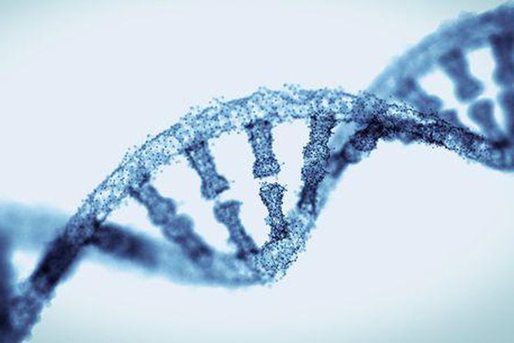 5 serious health conditions that can be passed down through your genes