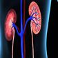 20m Nigerians have kidney diseases – Nephrologists. [tribuneonlineng]
