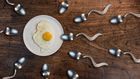 5 food that boosts your sperm count and semen volume